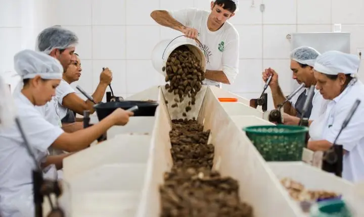 Consulta sobre bens sustentáveis no acordo Mercosul–UE acaba na quarta