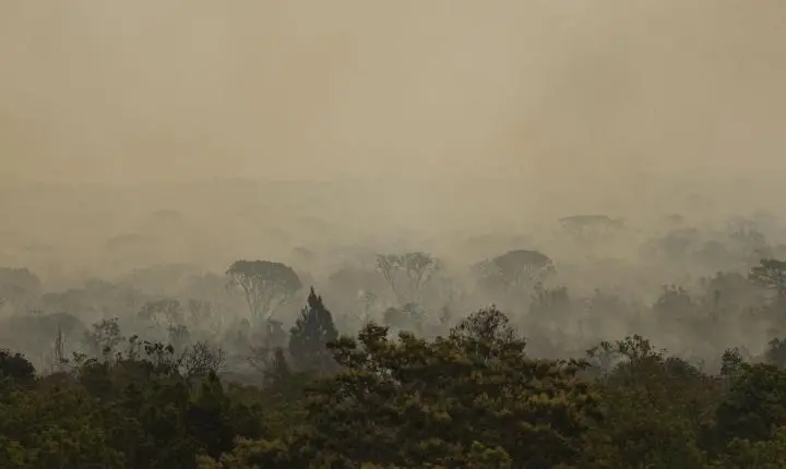 Força Nacional do SUS apoia atendimentos no Amazonas após incêndios