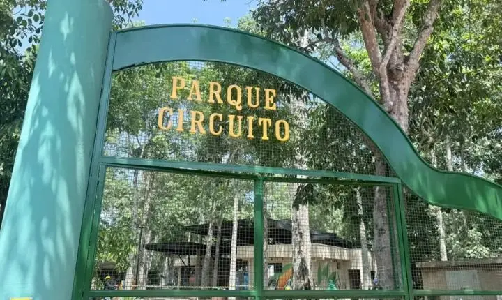 Reabertura do Parque Circuito traz novidades e ações educativas