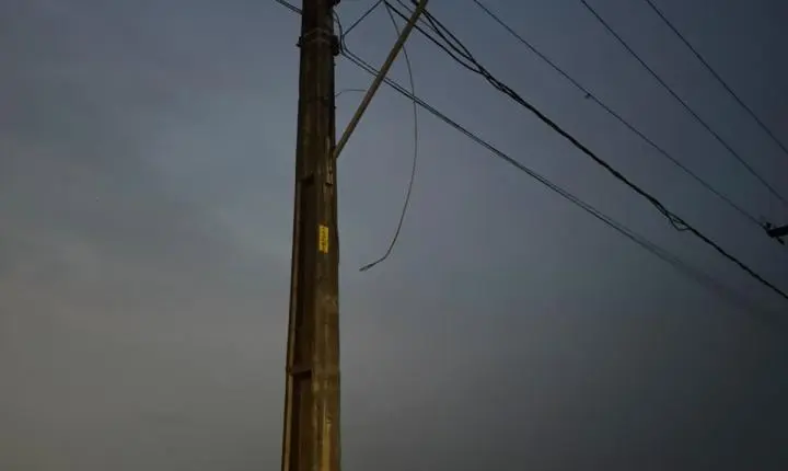 Vereador Edimilson Dourado pede poda de árvores na Zona Sul para evitar quedas e interrupções de energia